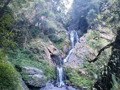 -石台牯牛降景区