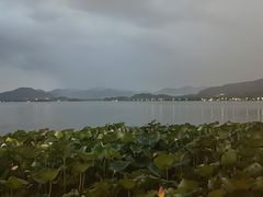 -湖畔居茶楼(湖滨店)