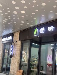-世田造型