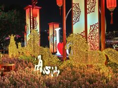 -海心沙亚运公园
