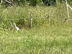 -上海国际越野赛车场