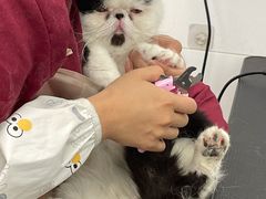 -美联众合24小时·皮肤科·外科·全科诊疗中心(华苑分院)
