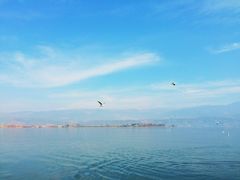 iphone_upload_pic-西昌邛海湿地
