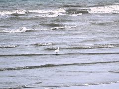 -南澳海滩