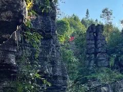 -梭布垭石林景区