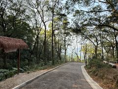 -广州市帽峰山景区