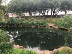 -苏州独墅湖世尊酒店