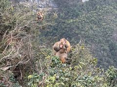 -重庆云阳龙缸景区