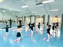 -西安小天鹅艺术团(曲江Alice店)