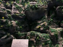 -房山世界地质公园博物馆