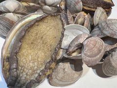 -海味当家·蒸锅海鲜(星海公园店)