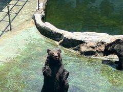 -深圳野生动物园
