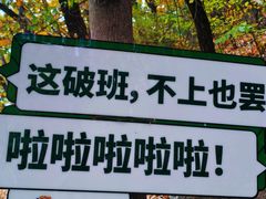 -吉林市朱雀山国家森林公园