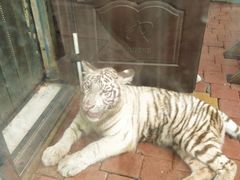 -大连森林动物园