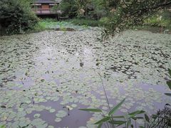 IMG_0240-广州珠江公园