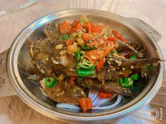 -龙小海荆沙鸽子店(瑞安街店)