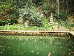-杭州植物园