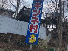 -宫城藏王狐狸村