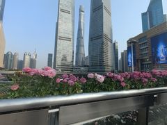 -北外滩滨江绿地