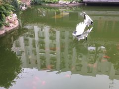 -月坛宾馆-聚仙楼餐厅