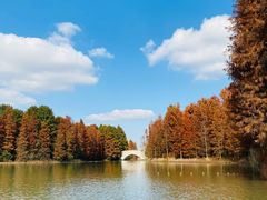 -上海海湾国家森林公园