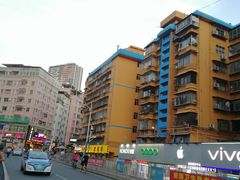 -龙鑫记清远脆皮鸡胡椒猪肚鸡