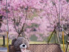 -福建鲤鱼洲酒店