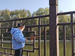 -西安汉城湖景区