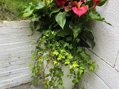 -Mark&Mars Restaurant