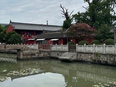 -上海财神庙