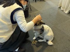 -小树照相馆·证件照(打浦桥店)