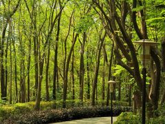 -深圳国际园林花卉博览园