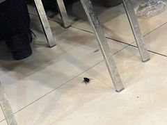 -川香煲(茅台路店)