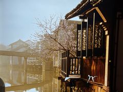 -荷塘秋月·本帮江浙菜(国权路店)