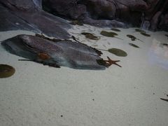 -福州罗源湾海洋世界旅游区