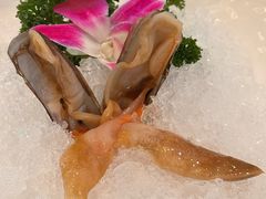-纯味斑鱼府(中海环宇荟店)