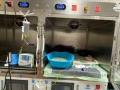 -康成宠物医院24H·CT·核磁共振