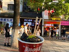 -黑色经典臭豆腐·湖南特产(坡子街店)