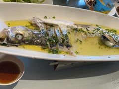 -沪碟·精菜坊(闵行店)