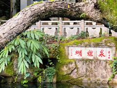 -蝴蝶泉公园