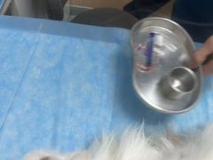 -瑞派·关忠动物医院·猫专科·犬专科(三环新城店)