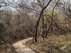 -南京市江宁方山