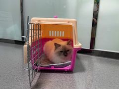 -半岛宠物医院24小时(科华中路店)