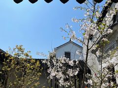 -东山风景区(洞庭东山)