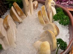 -季季山·云南野生菌火锅(上海首店)
