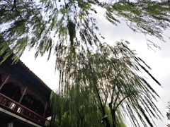 -环城公园