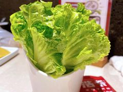 -浩爷羊蝎子火锅(望京店)