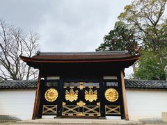 -醍醐寺