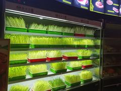 -番食园鲜食火锅(高新店)