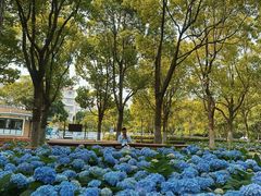 -上海吴淞炮台湾国家湿地公园